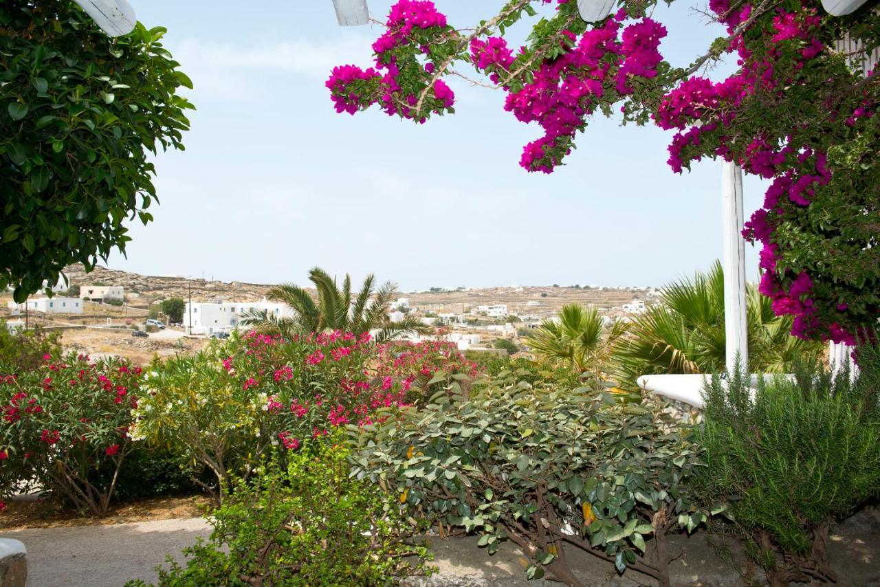 Tatiana Villa & Apartments Klouvas エクステリア 写真
